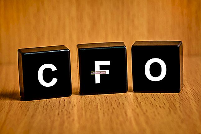 چیف مالیاتی افسر (CFO) ملازمت کی تفصیل